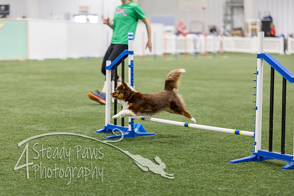 BegNovAgility202698