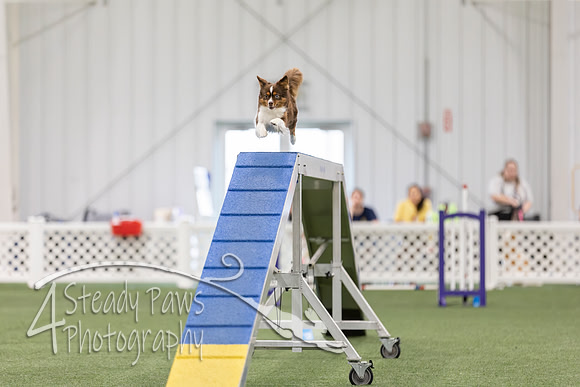 BegNovAgility202699