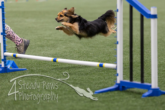 BegNovAgility2026111