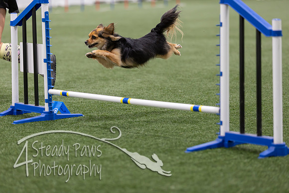 BegNovAgility2026112