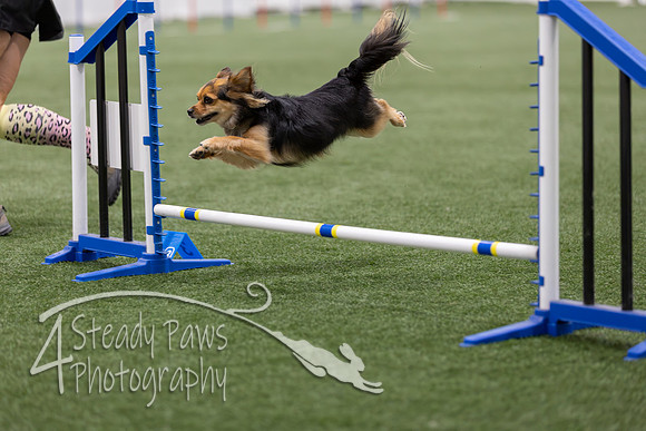 BegNovAgility2026113
