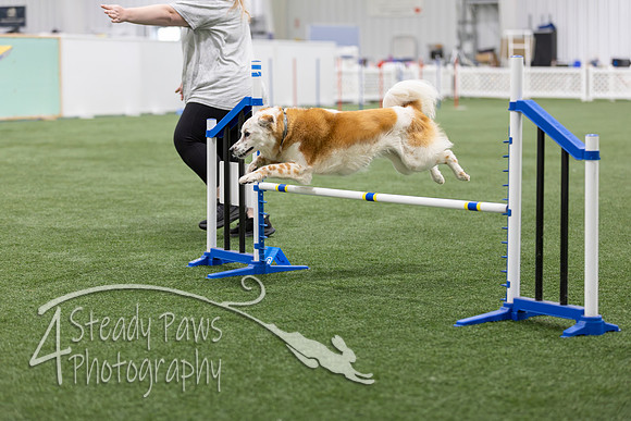 BegNovAgility2026123