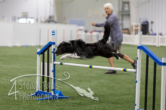 BegNovAgility202678