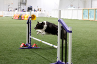 Speedstakes202618
