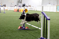 Speedstakes202619