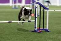 Speedstakes202620