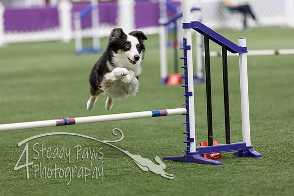 Speedstakes202628
