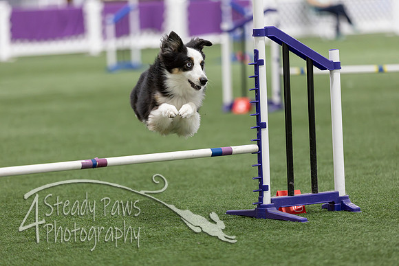 Speedstakes202629