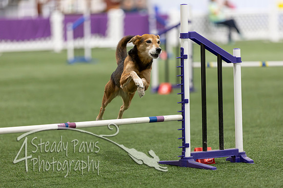 Speedstakes202636