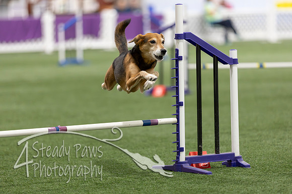 Speedstakes202637