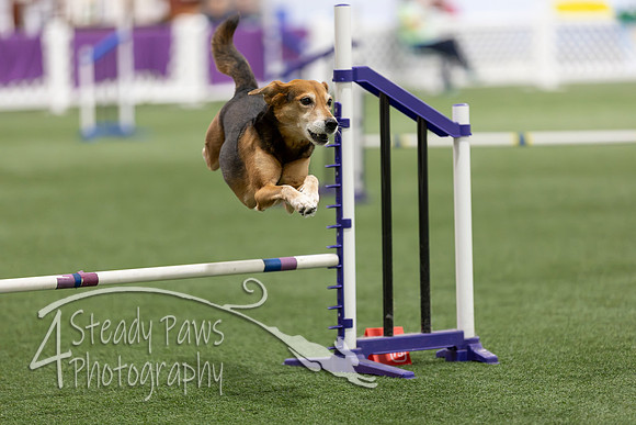 Speedstakes202638