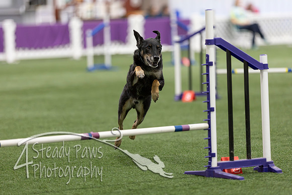 Speedstakes202645