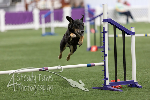 Speedstakes202646