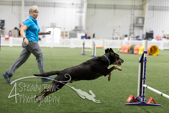 Speedstakes202648