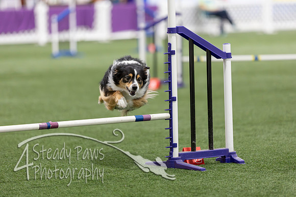 Speedstakes202656