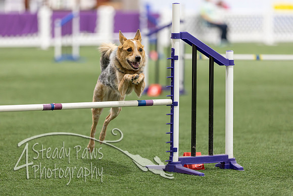Speedstakes202681