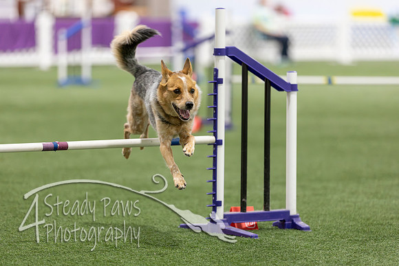 Speedstakes202682