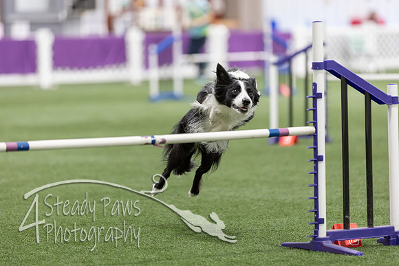 Speedstakes2026125