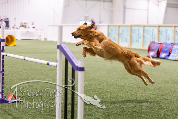 Speedstakes2026142
