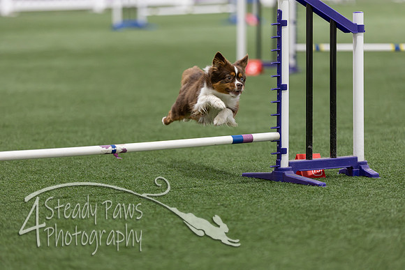 Speedstakes2026178