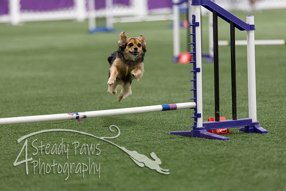 Speedstakes2026186