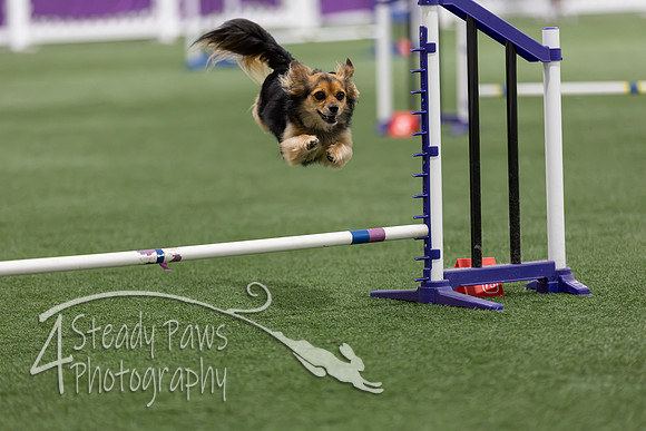 Speedstakes2026188