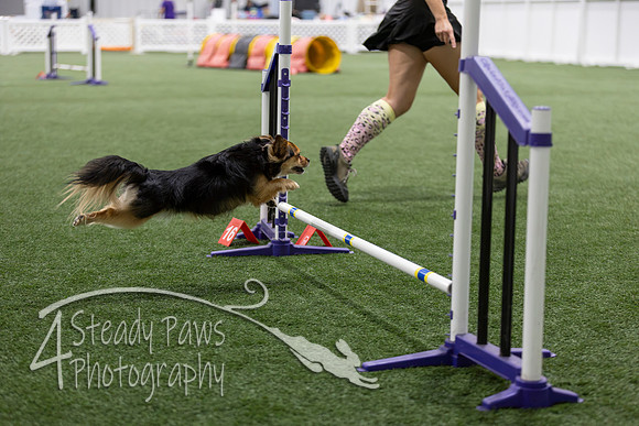 Speedstakes2026189