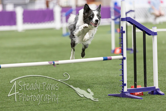 Speedstakes2026208