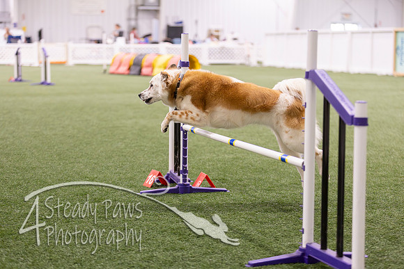 Speedstakes2026218