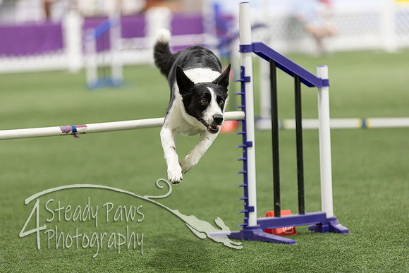 Speedstakes2026251