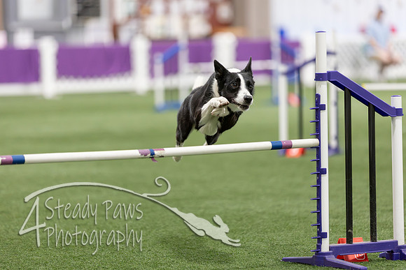 Speedstakes2026260