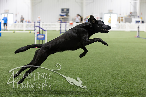 Speedstakes2026297
