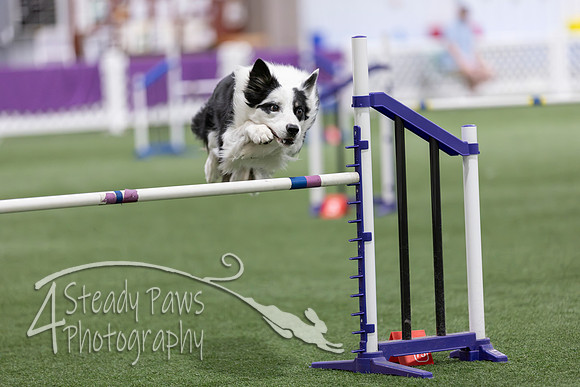 Speedstakes2026305