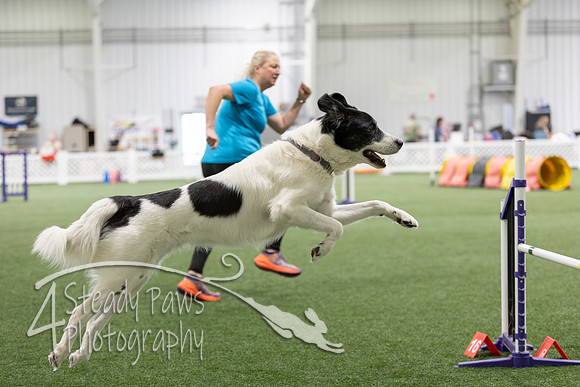 Speedstakes2026319