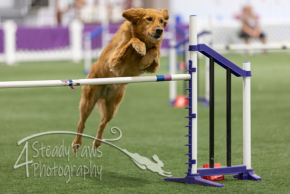 Speedstakes2026327