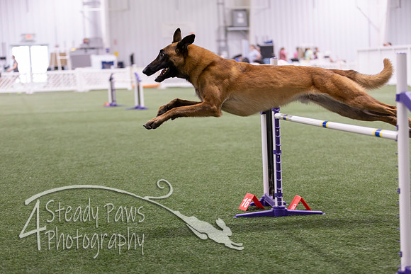 Speedstakes2026335