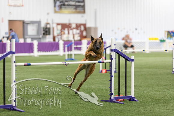 Speedstakes2026336