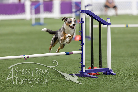 Speedstakes2026349