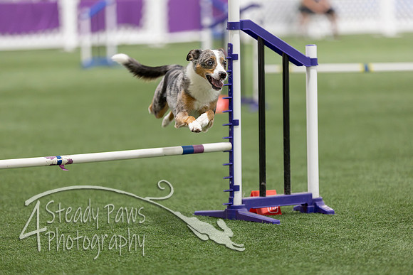 Speedstakes2026350