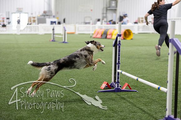 Speedstakes2026351