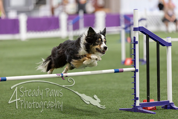Speedstakes2026370