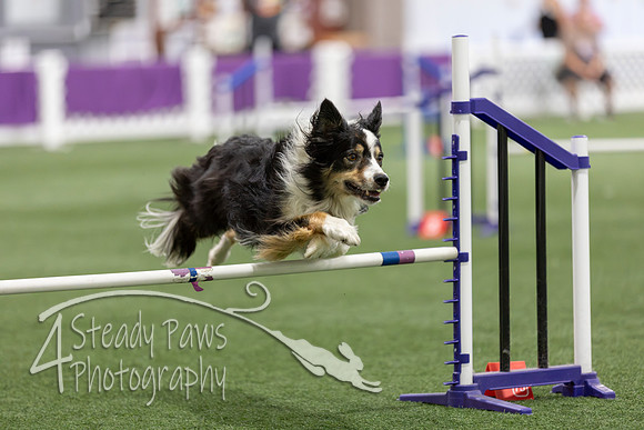 Speedstakes2026371