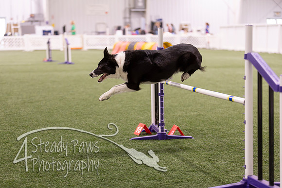 Speedstakes2026379