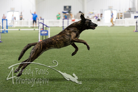 Speedstakes2026401