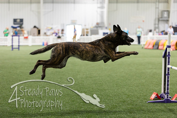 Speedstakes2026402
