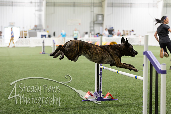 Speedstakes2026403