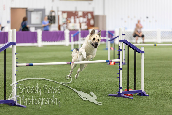 Speedstakes2026416