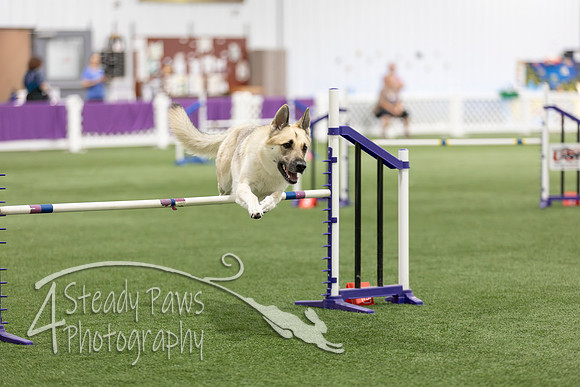 Speedstakes2026418