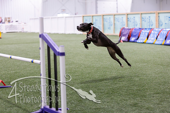 Speedstakes2026422