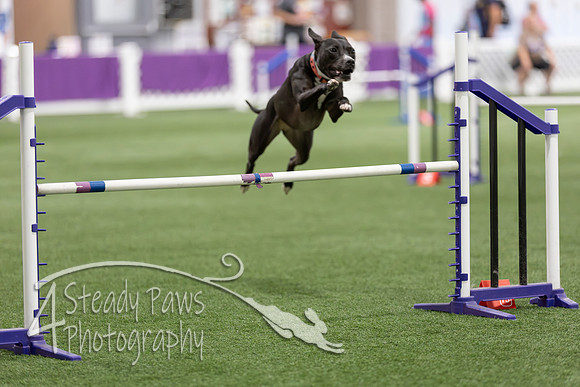 Speedstakes2026426